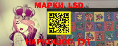 шишки Бердск