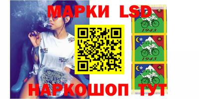 шишки Бердск