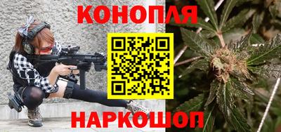 шишки Бердск