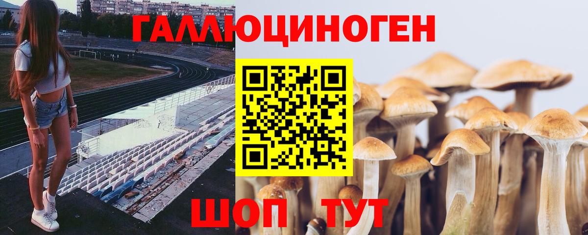 Псилоцибиновые грибы мицелий Гудермес