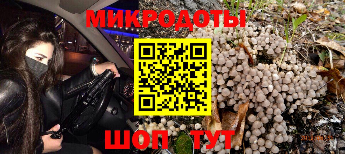 Псилоцибиновые грибы MAGIC MUSHROOMS  Псилоцибиновые грибы Magic Shrooms  Вход с VPN  Гудермес 